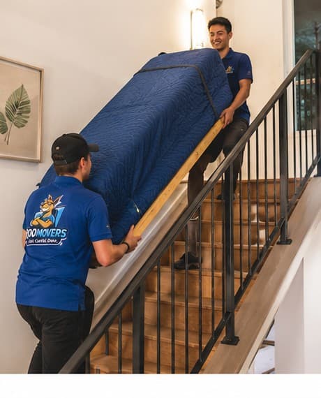 Movers carrying wrapped furniture up apartment stairs